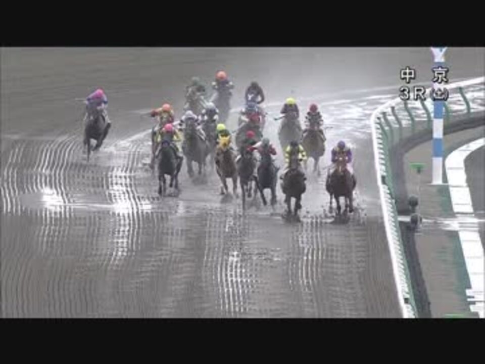 人気の 競馬 落馬 動画 88本 3 ニコニコ動画