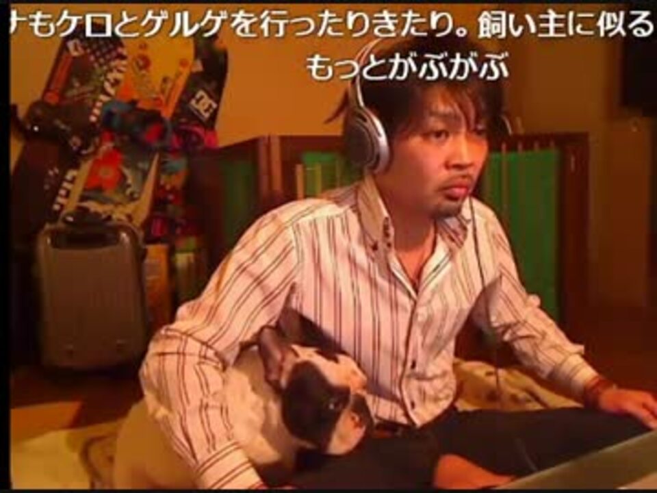 部長 犬 に噛まれるウナちゃんまん ニコニコ動画