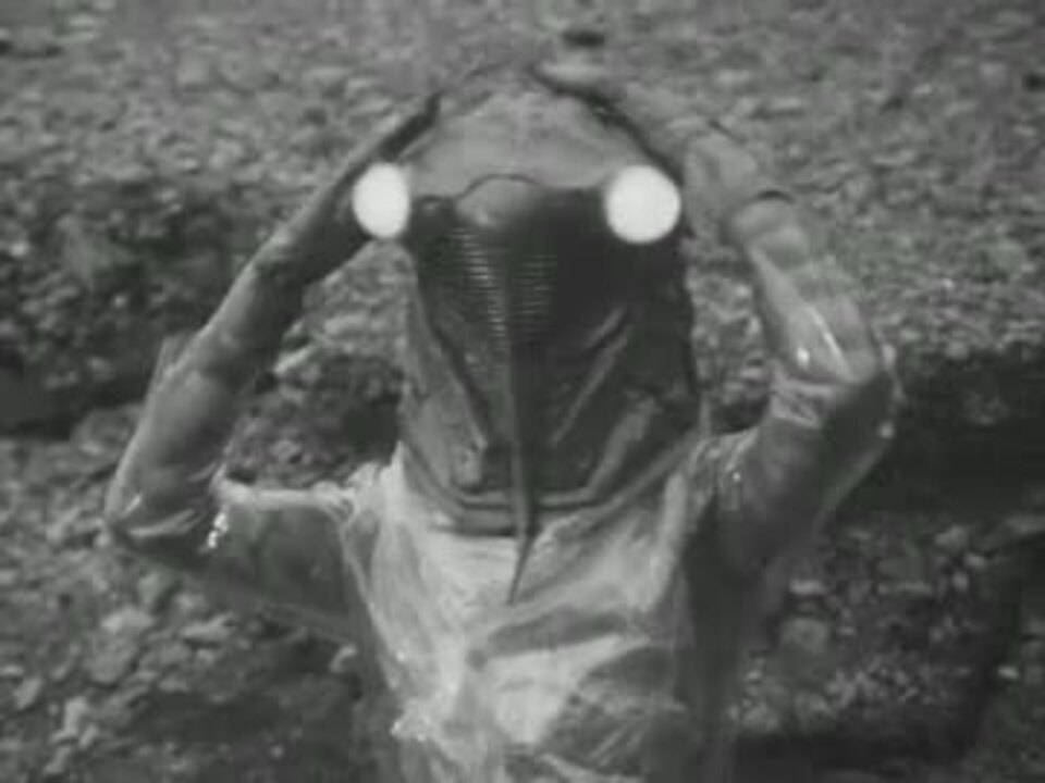 怪獣漫才 人間 実写版 - ニコニコ動画