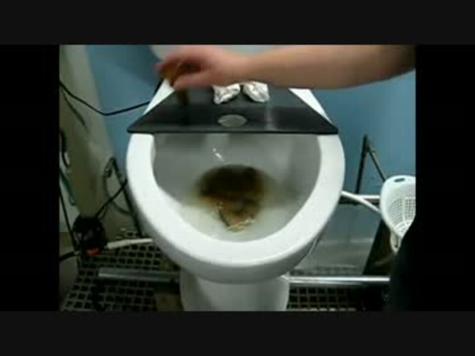 人がうんこする様子を再現してみた ニコニコ動画