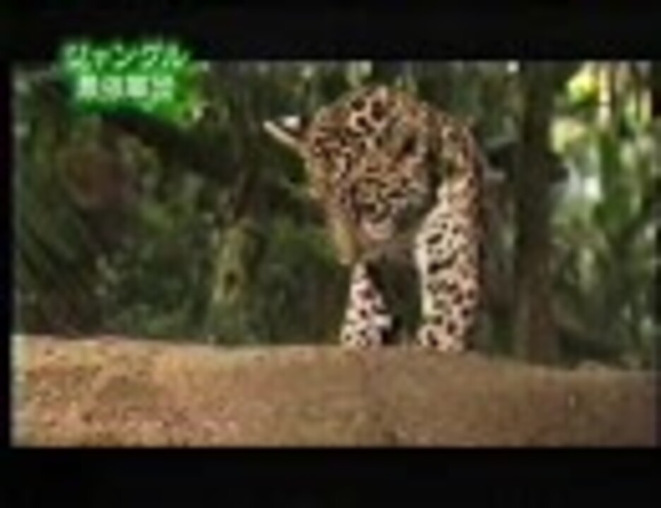 人気の ぐんたいアリ 動画 11本 ニコニコ動画