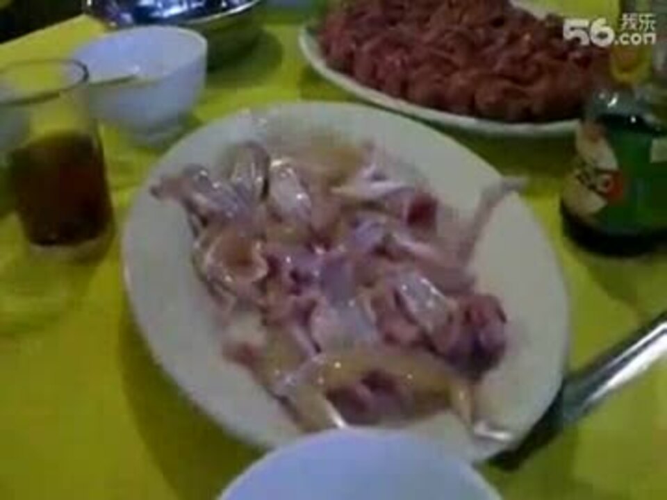グロ注意 韓国のカエル料理 ニコニコ動画