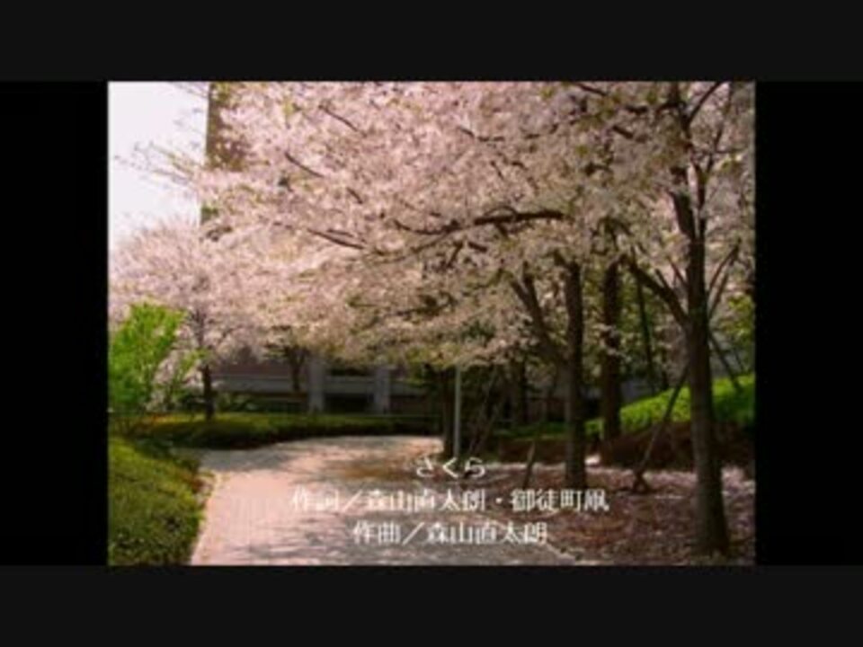 人気の さくら 森山直太朗 カラオケ 動画 10本 ニコニコ動画