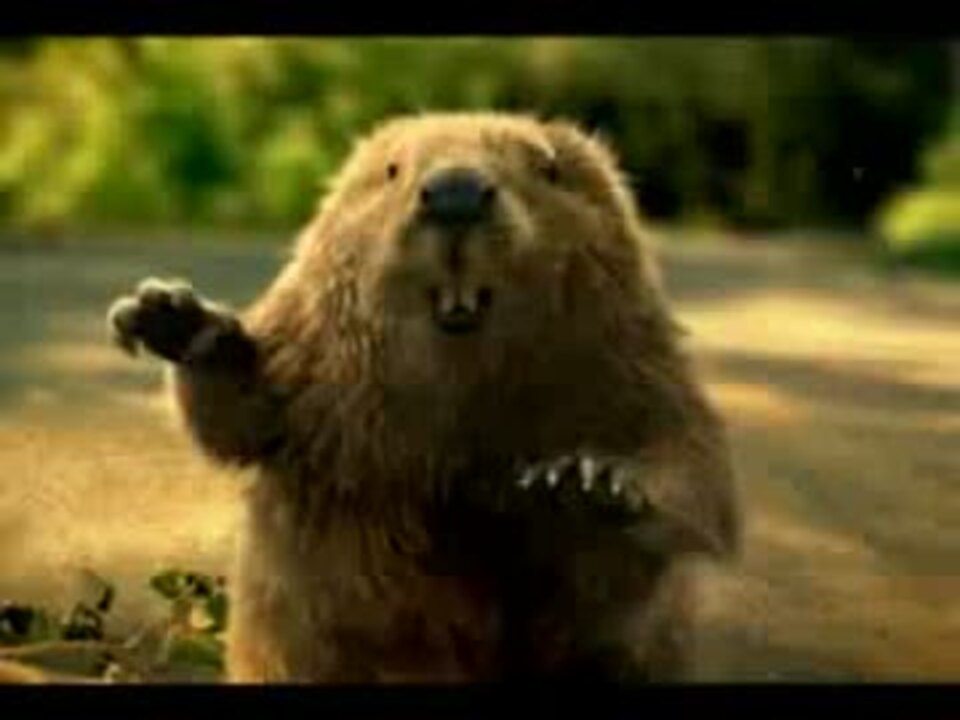 人気の ビーバー 動画 42本 2 ニコニコ動画