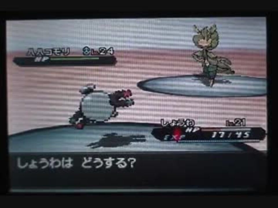 ポケモンbw2 コイルで撃破してジムリーダー泣かそうぜｗｗ Part2 ニコニコ動画