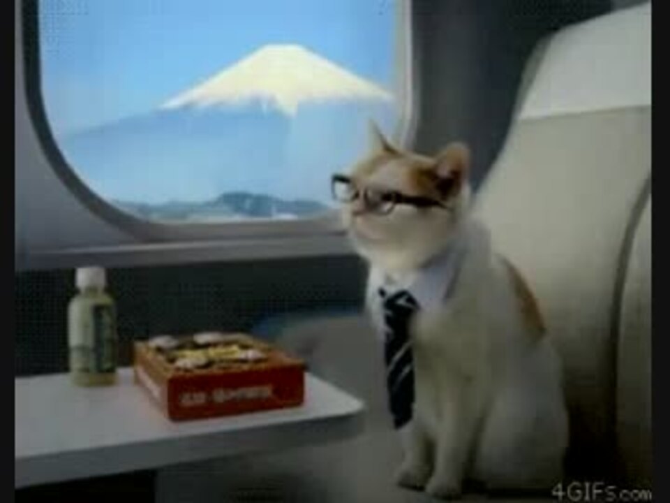 おかしな動物 ニコニコ動画