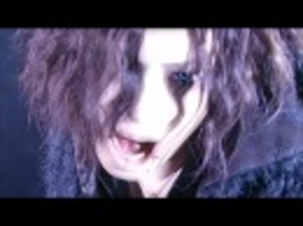 Did 動画