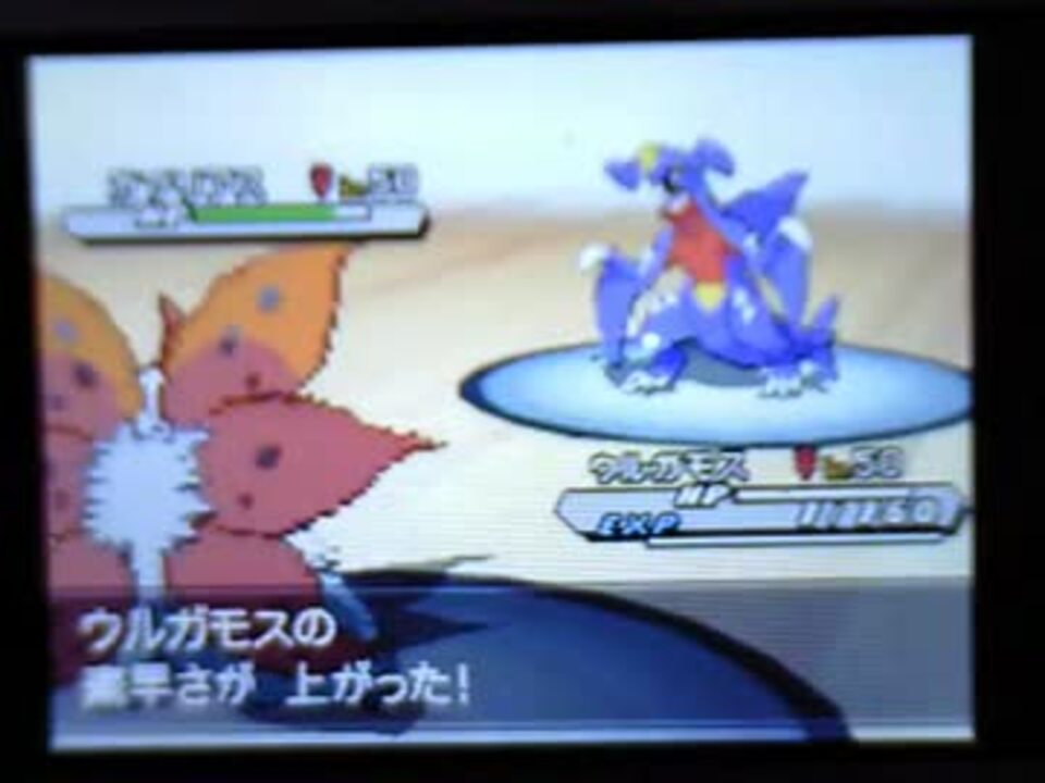 ポケモンbw2 ランダムバトルフリー ウルガモス編 ニコニコ動画