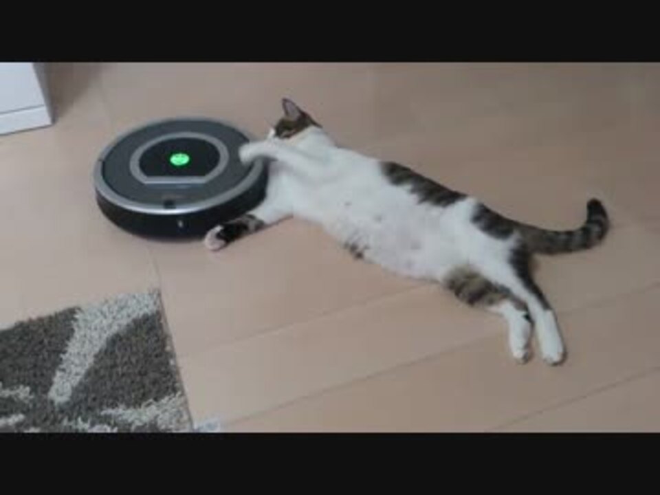 ルンバ Vs ねこ ニコニコ動画