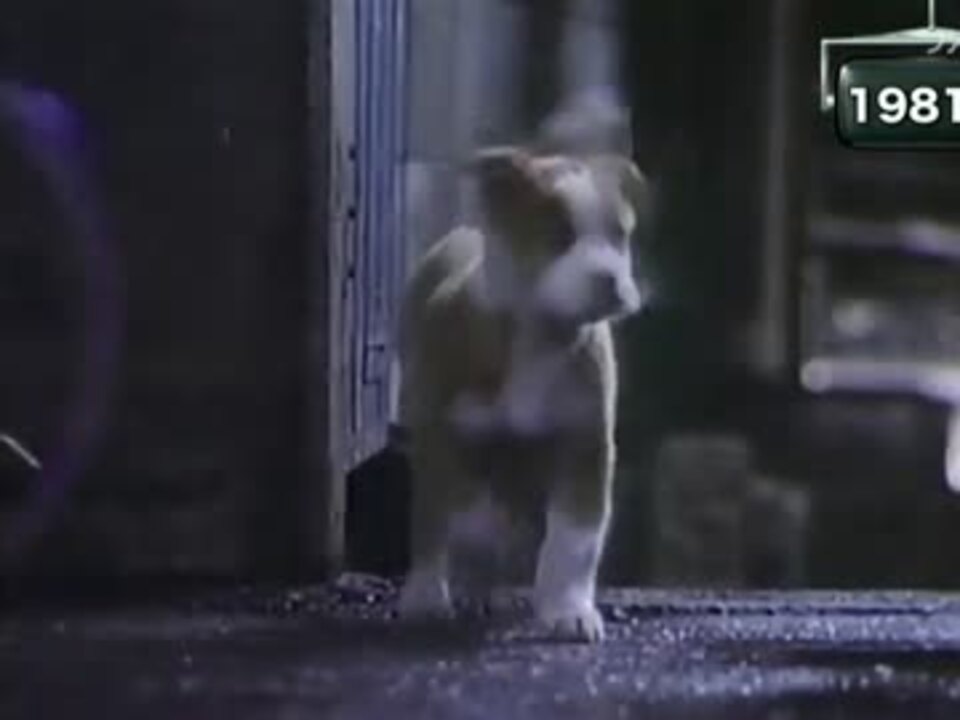 Cm サントリーウイスキー トリス 雨と子犬 ニコニコ動画