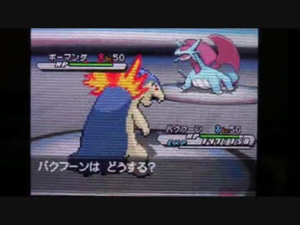 Bw2 Pwtチャンピオン Ipet Ac Mz