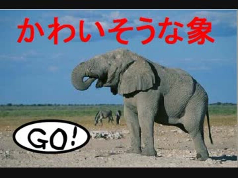 かわいそうなぞう ニコニコ動画