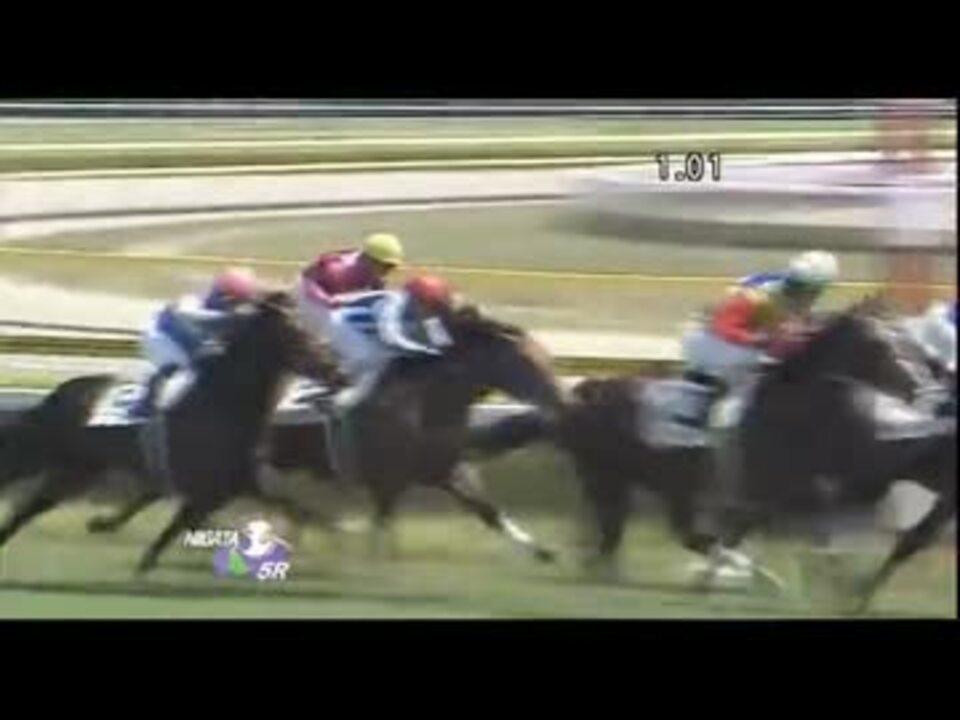 日本競馬史上最高配当 12 08 04 メイクデビュー新潟 ミナレット ニコニコ動画
