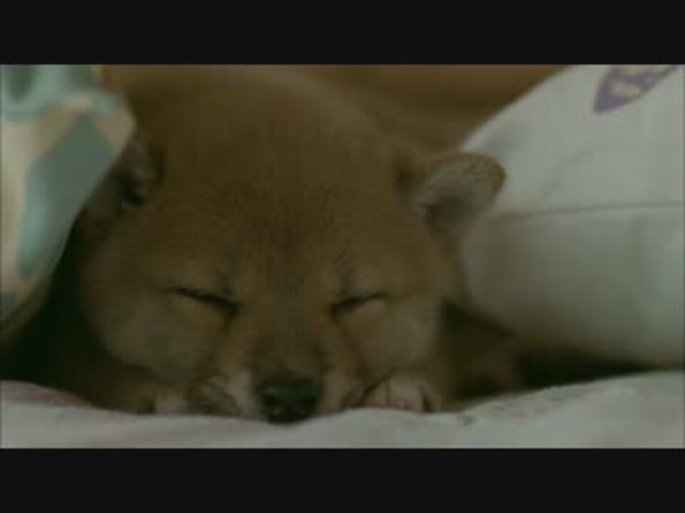 積水ハウス ｃｍ 家はlove Song篇 ニコニコ動画