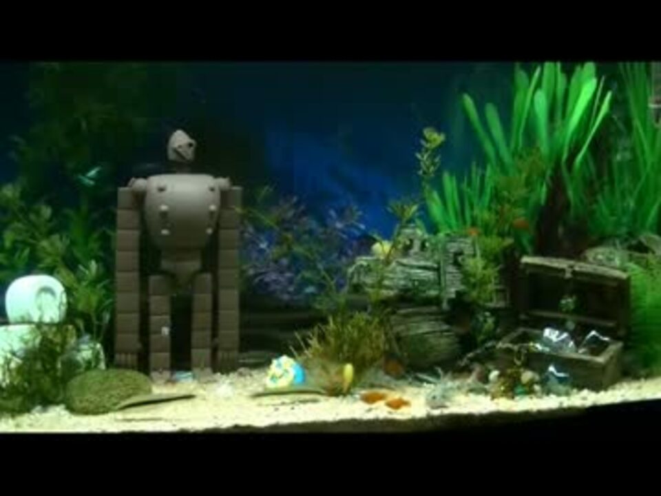人気の アクアリウム 熱帯魚 動画 1 411本 34 ニコニコ動画