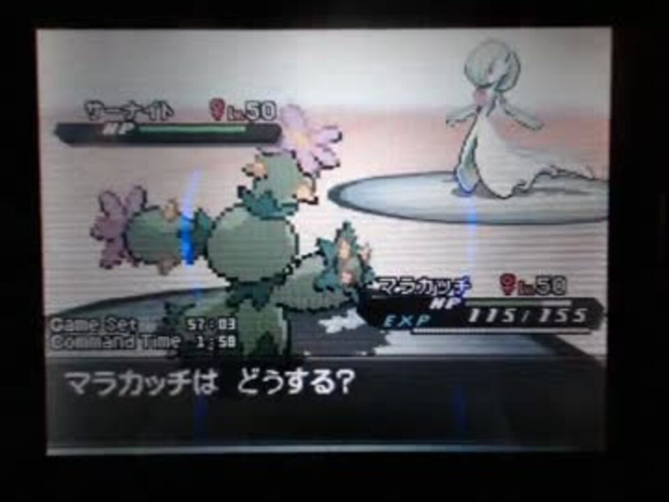 ポケモンbw2 マイナー好きのゆかりが対戦実況part1 マラカッチ編 ニコニコ動画