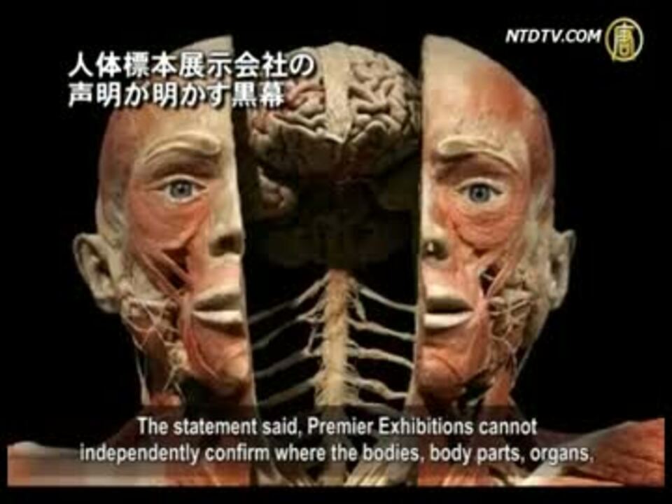 人気の 人体の不思議展 法輪功 動画 10本 ニコニコ動画