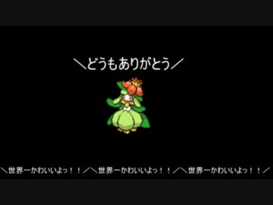 ポケモンbw2 晴れパにおけるドレディアについて考察 ゆっくり ニコニコ動画