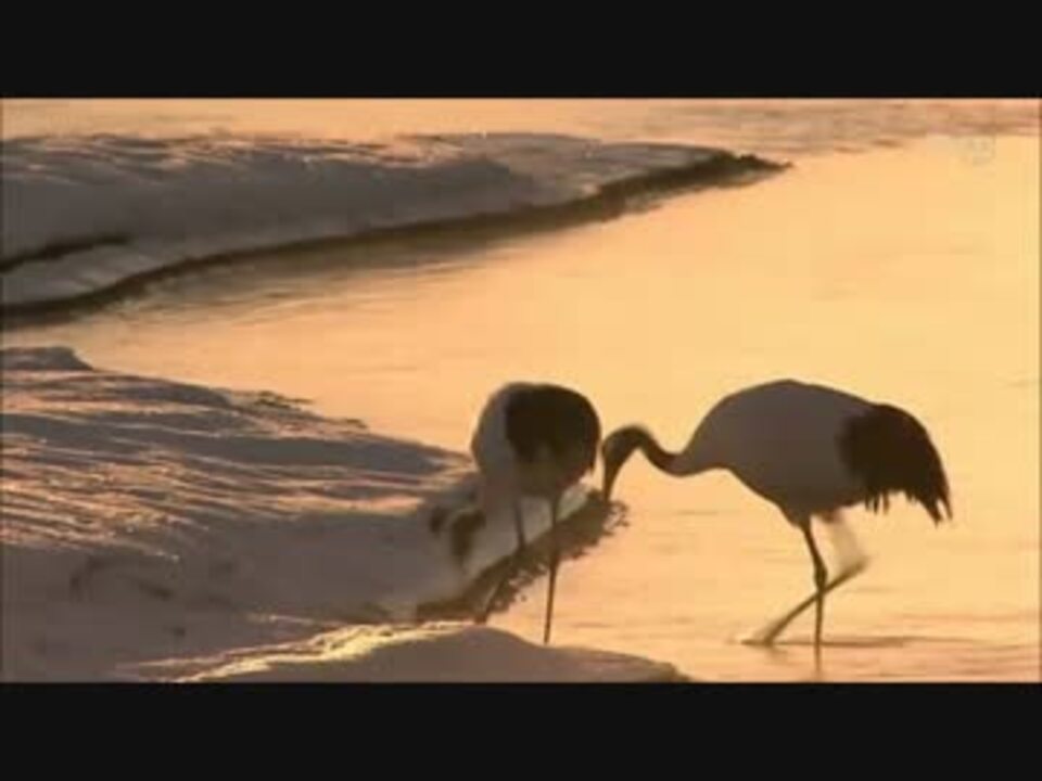 Nhkシリーズ世界遺産100 Ed 久石譲 ニコニコ動画