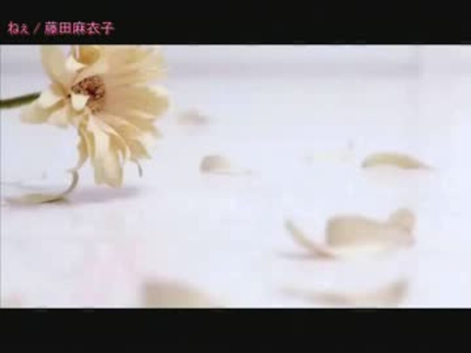 ニコカラ ねぇ Off Vocal ニコニコ動画