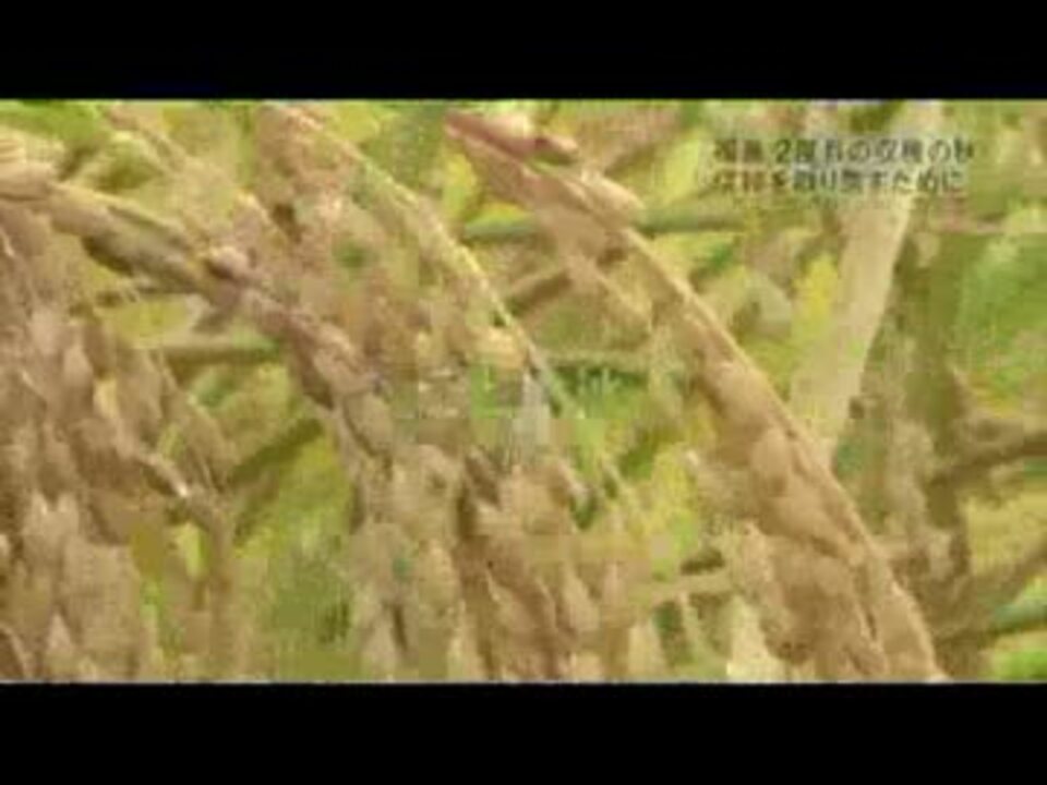 人気の スーパーニュースアンカー 動画 10本 ニコニコ動画