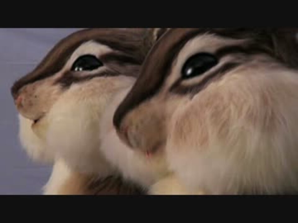 ちょきんの行進 メイキング映像 ニコニコ動画