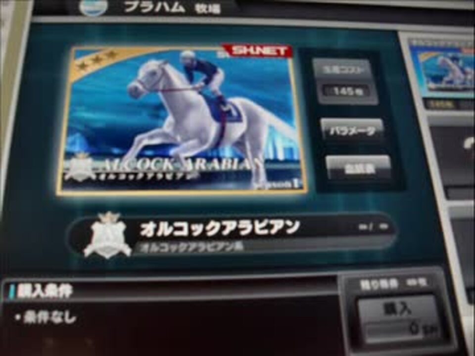 スターホース3 三大始祖のaimeカードになります。