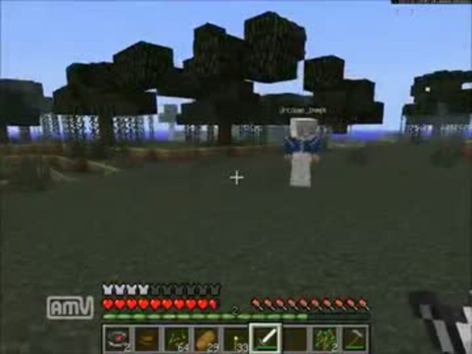 Minecraft 1人の中で１人になるまで戦え ハンガーゲーム 2日目 ニコニコ動画