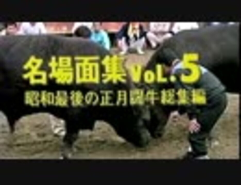人気の 闘牛 動画 73本 ニコニコ動画