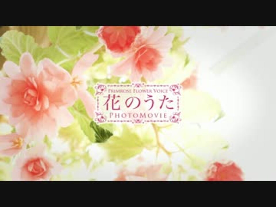 ユリカ/花たん 『花のうた』 Primrose Flower Voice 収録