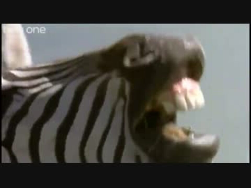 人気の アテレコ 動画 501本 9 ニコニコ動画