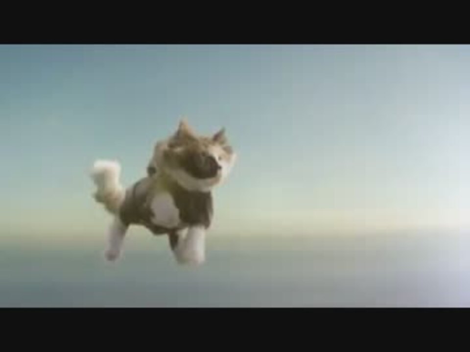 スカイダイビングする猫たち ニコニコ動画