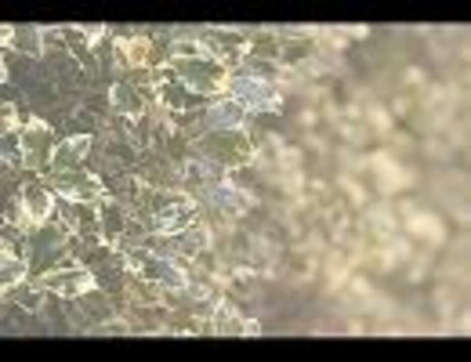 Kaito クィルター おお 僕のいとしい人 Op 6 2 ニコニコ動画