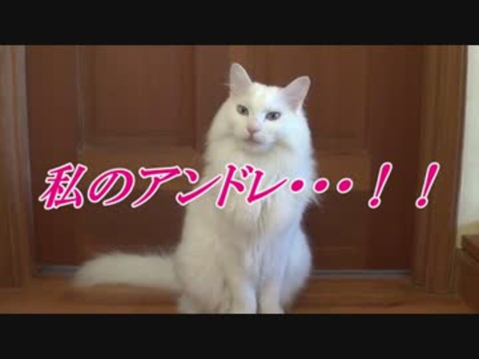 パロディ シリーズ24 ベルサイユのばら名言集ladyoscarcollectionofwisesayings ニコニコ動画