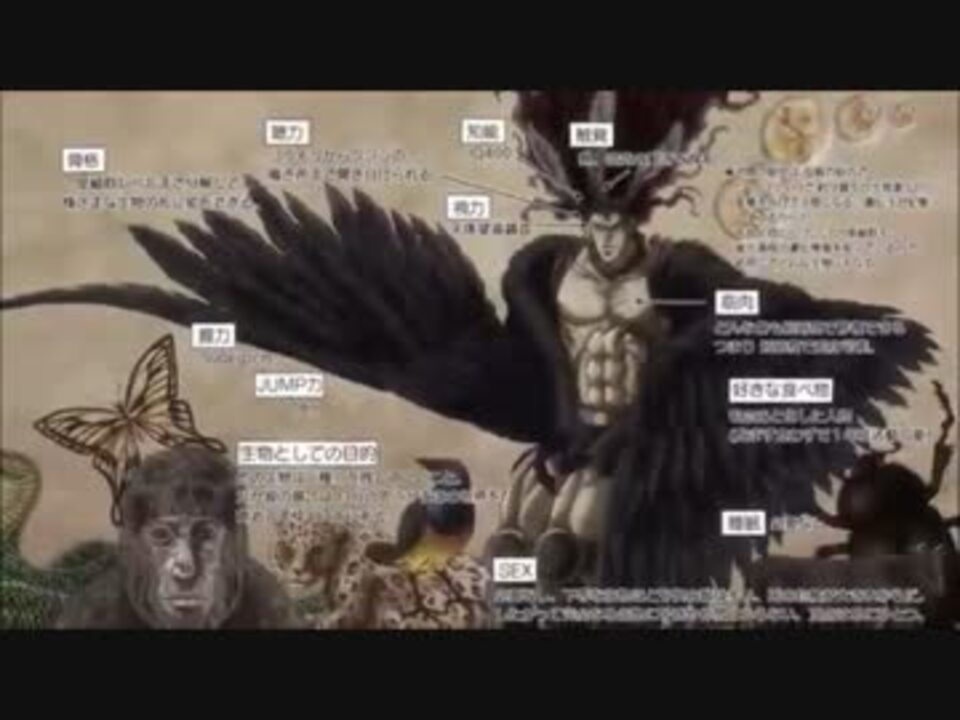 ジョジョの奇妙な冒険 25話名言 鳥人間コンテスト開催中 ニコニコ動画