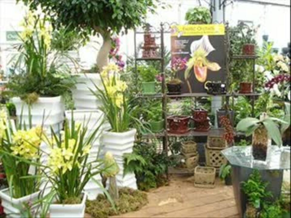 あの頃を フジファブリック花屋の娘を歌ってみた 懐かしむ ニコニコ動画