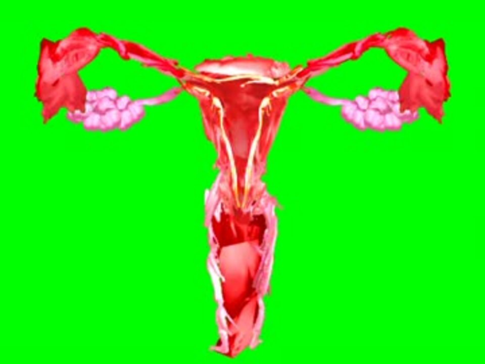 人気の 史上最悪のbb 動画 141本 ニコニコ動画