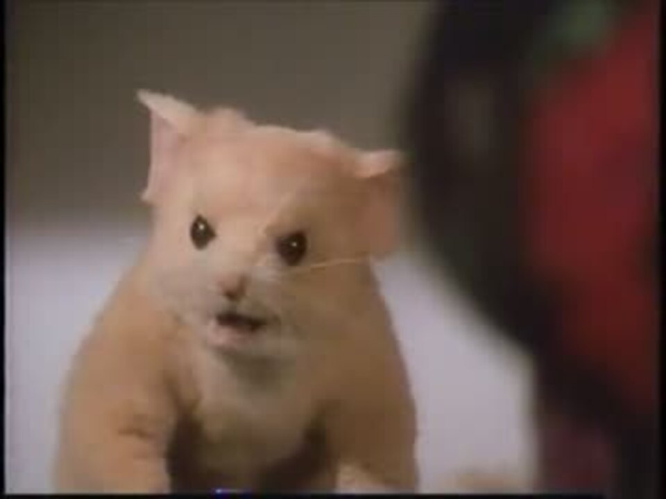 大魔女をやっつけろ The Witches 日本語吹き替え版 ニコニコ動画