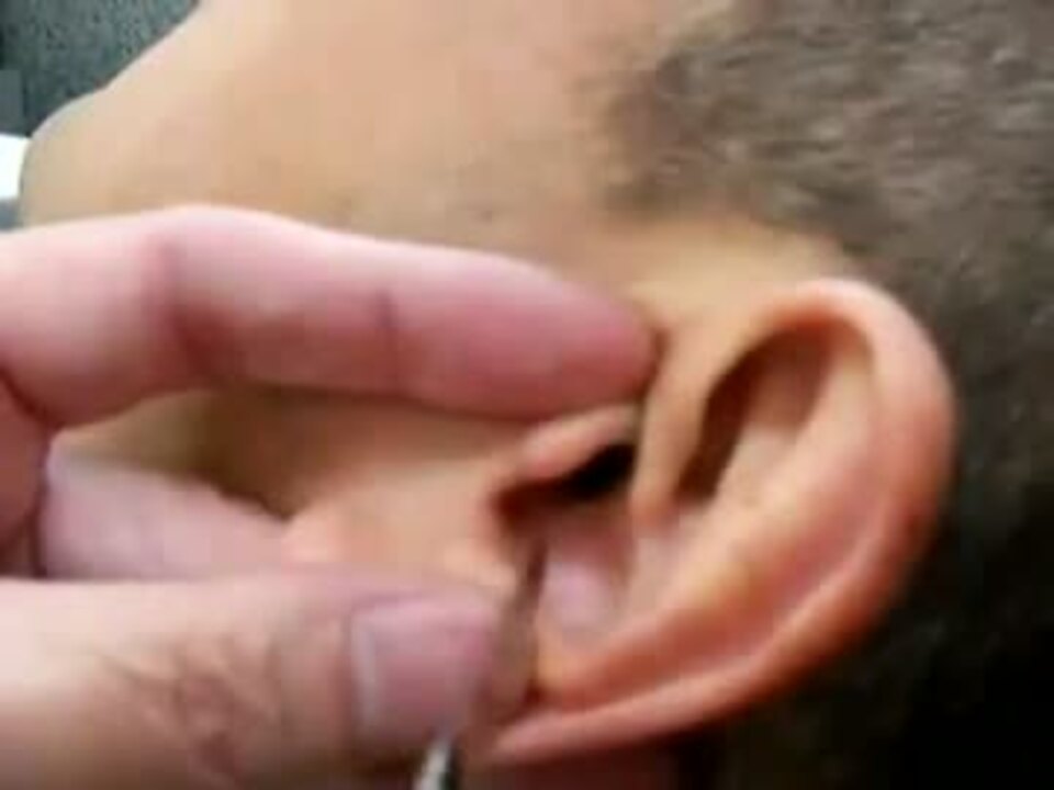 人気の バーバーヤナギ 動画 9本 ニコニコ動画