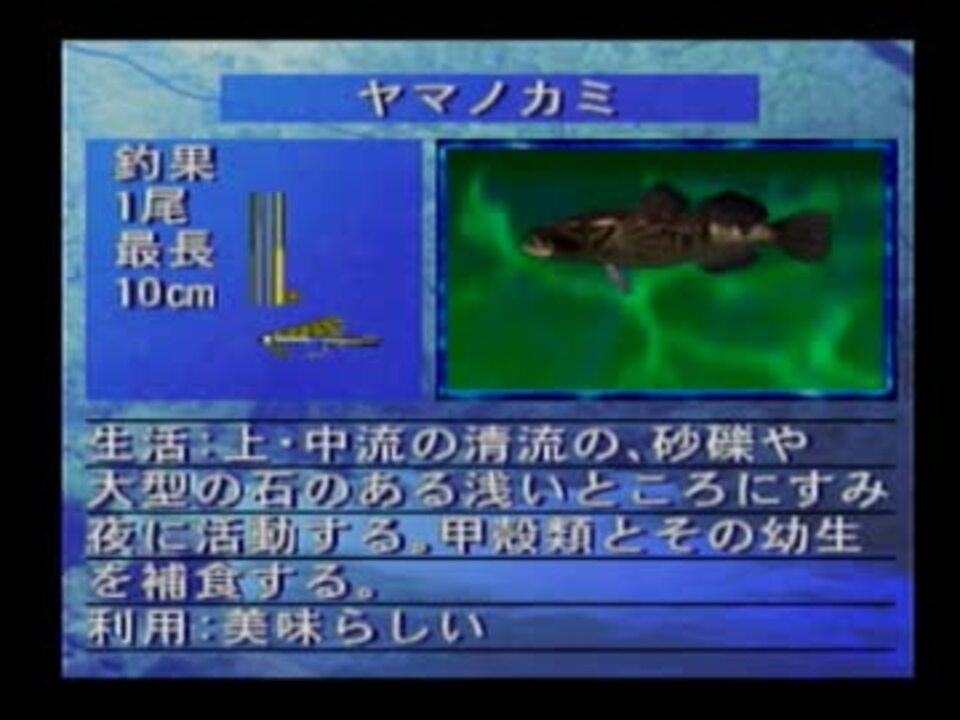 人気の 川のヌシ釣り 動画 426本 13 ニコニコ動画