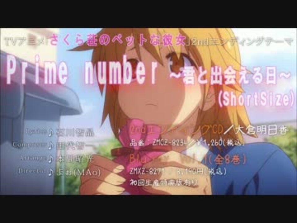 ニコカラ Prime Number 君と出会える日 S Size プロオケ