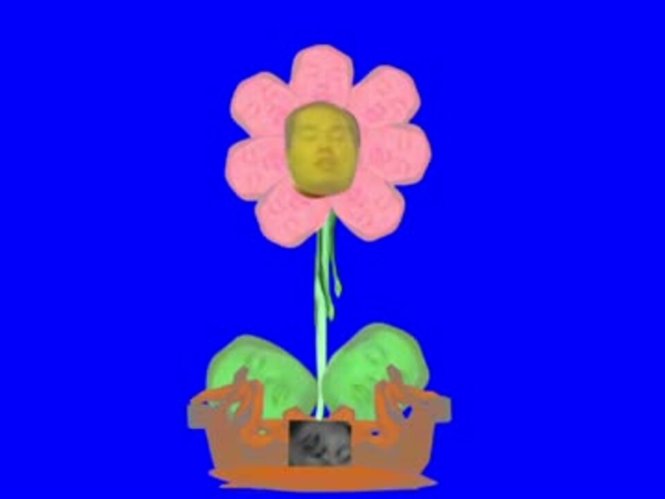 フラワーロック先輩.flo ニコニコ動画