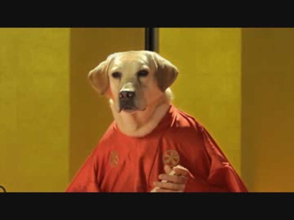 犬と二人羽織で落語してみた ニコニコ動画