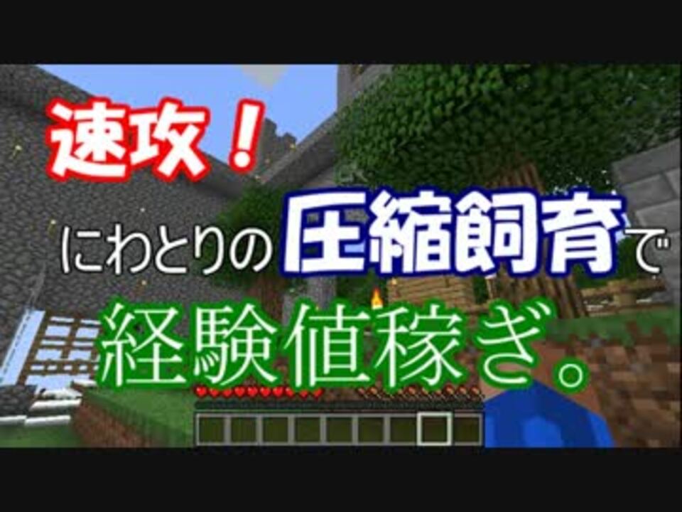 完了しました マイクラ Java 経験値 Minecraftの画像だけ