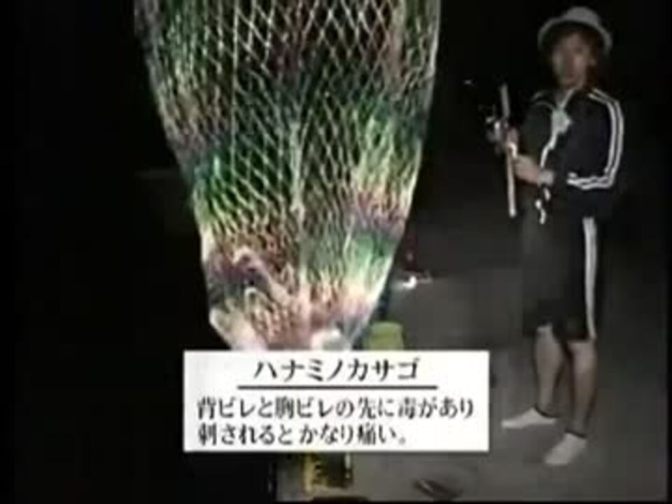 寝釣り ニコニコ動画