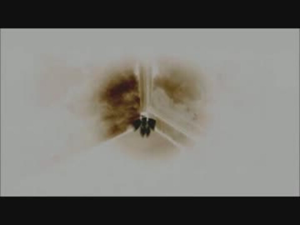 花 A Last Flower Ver X ニコニコ動画
