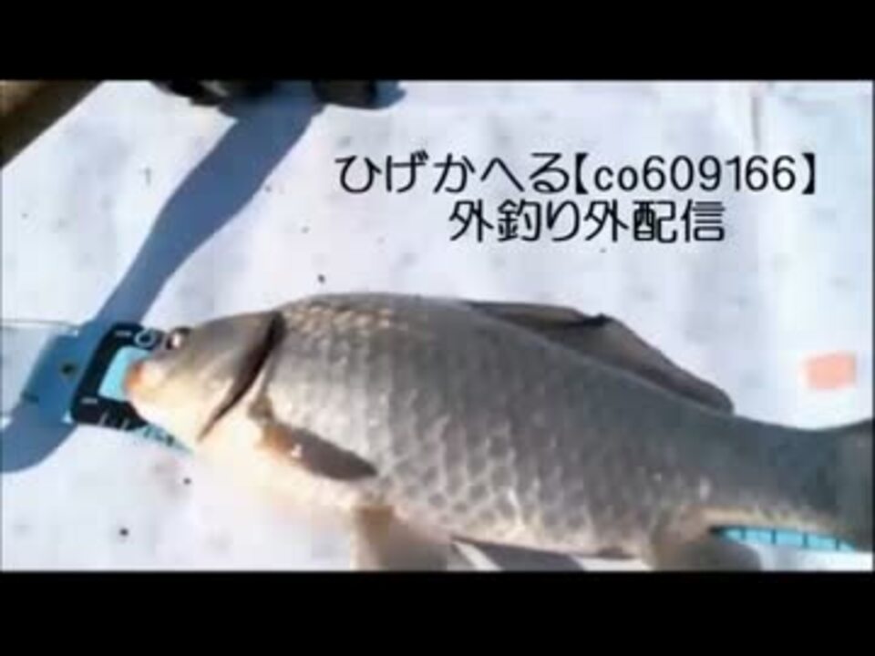 人気の ひげかへる 生放送主 動画 14本 ニコニコ動画