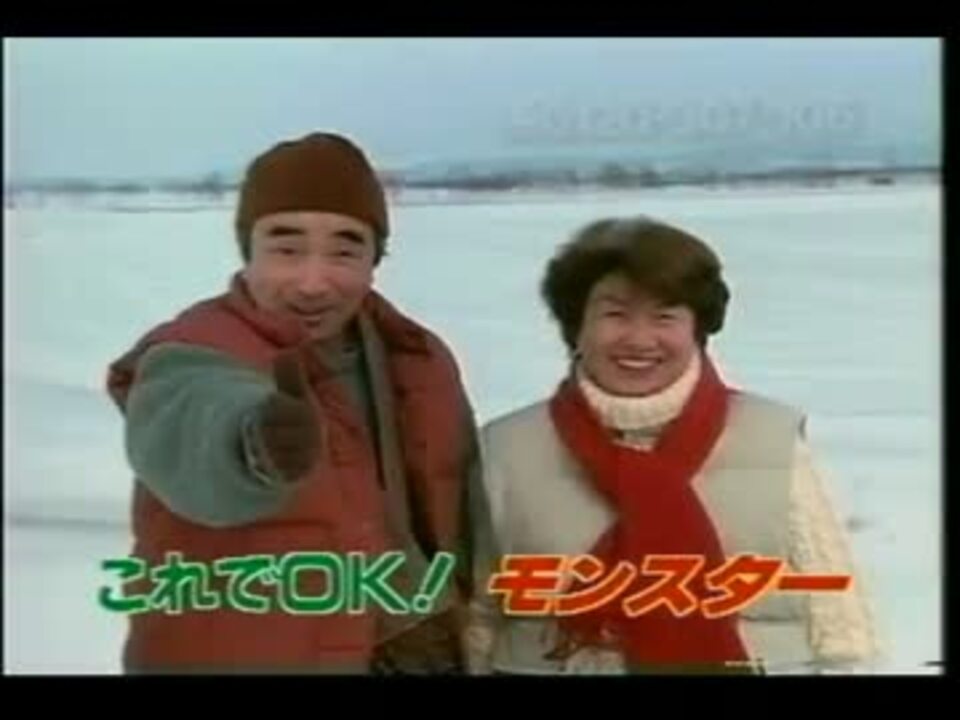 全自動パワー融雪機モンスター ニコニコ動画