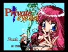 プライベート・アイ・ドル（PCE CD）: 面白ゲーム変遷史