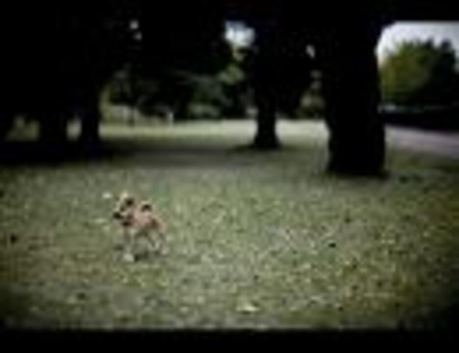 Nostalgia Every Little Thing ニコニコ動画